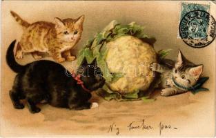 1904 Cats playing with a cauliflower. TCV card. litho, 1904 Macskák karfiollal játszanak. TCV card. litho