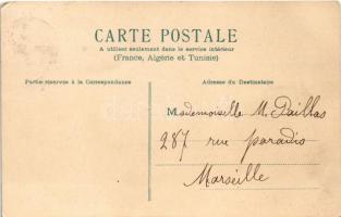 1904 Cats playing with a cauliflower. TCV card. litho 1904 Macskák karfiollal játszanak. TCV card. l...
