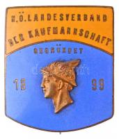 Ausztria ~1920-1930. Alsó-Ausztriai Tartományi Kereskedelmi Szövetség 1899 aranyozott, zománcozott Br jelvény BORTH WIEN 6/2 (24x23mm) T:2 Austria ~1920-1930. N.Ö. (Niederösterreichische) Landesverband der Kaufmannschaft (Lower Austrian State Association of Merchants) gilt, enamelled Br badge with makers mark BORTH WIEN 6/2 (24x23mm) C:XF