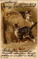 1900 Cats with potato. litho (EK)