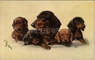 Dachshund dogs. TS.N. Serie 1411. s: C. Reichert (EK)
