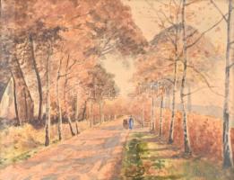 Neogrády jelzéssel: Őszi fasor. Akvarell, karton. Díszes, üvegezett fa keretben, 25×33 cm