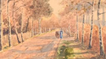 Neogrády jelzéssel: Őszi fasor. Akvarell, karton. Díszes, üvegezett fa keretben, 25×33 cm