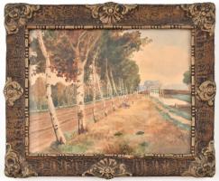 Neogrády jelzéssel: Vízparton. Akvarell, karton. Díszes, üvegezett fa keretben, 25×33 cm