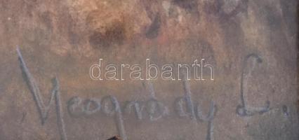 Neogrády jelzéssel: Vízparton. Akvarell, karton. Díszes, üvegezett fa keretben, 25×33 cm