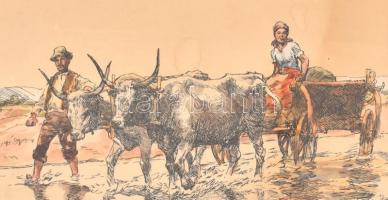 Hegyi jelzéssel. Ökrösfogat. Vegyes technika, papír. Jelzett, Üvegezett keretben. 26x32 cm