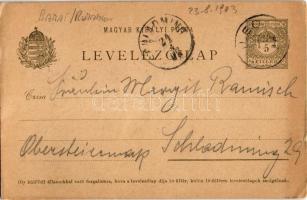 1903 Krassóviszák, Viszág, Visag; saját kézzel rajzolt művészlap, fonó asszony / hand-drawn art post...