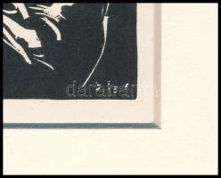 Gáborjáni Szabó Kálmán (1897-1955): Halász, fametszet, papír, jelzett a dúcon, paszpartuban, 24x18 c...