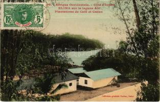 1913 Elima sur la lagune Abi, Plantations de Café et Cacao / coffee and cocoa plantations, TCV card