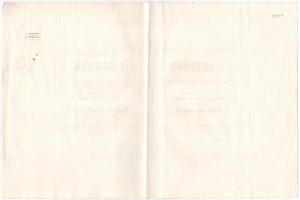 Budapest 1935. "Salgó-Tarjáni Kőszénbánya Részvény-Társulat" öt részvénye egyben összesen ...