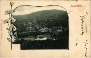 1901 Antalvölgy, Antonsthal, Dolina (Drétoma, Drietoma); villa. Art Nouveau, floral, Gansel Lipót 221.