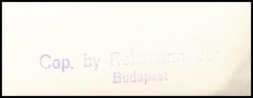 Reismann János (1905-1976): Szőlőhegy, pecséttel jelzett fotó, 22×30 cm
