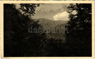 1943 Volóc, Volovec, Volovets; részlet a Borzsovai-havasokról. Hangya Szövetkezet kiadása. Foto Manduk / mountains (EK)