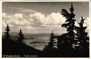 1942 Hargitafürdő, Hargita-fürdő, Harghita-Bai; Csíki részlet / general view (fl)