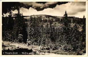 Hargitafürdő, Hargita-fürdő, Harghita-Bai; Medve-gödör-tető / forest, mountains (fl)