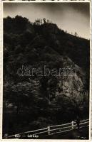 Rév, Körösrév, Vad, Vadu Crisului; látkép / general view (fa)