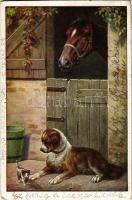 1933 Kutya lóval és macskával. M. M. Nr. 1165., 1933 Dog with horse and cat. M. M. Nr. 1165.