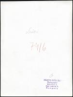 Szöllősy Kálmán (1887-1976): Kis copfos, pecséttel jelzett fotóművészeti alkotás, 23,5×18 cm