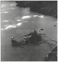 1973 Zinner Erzsébet: Korhadt fadarab, hátoldalon feliratozva, 26×24 cm