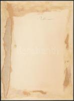 cca 1930-1940 Női portré, fotó, firkált, 24x17,5 cm