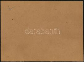 cca 1900 Családi fotó, kartonra kasírozva, 19,5x26,5 cm