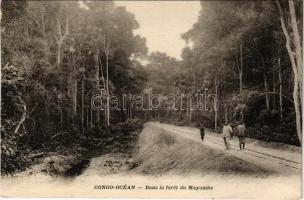 Dans la forét du Mayombe / forest, railway