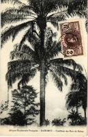 Dahomey, Cueillette des Noix de Palme / palm tree harvesting
