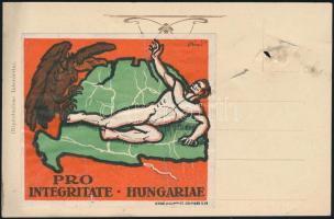 1919 Pro Integritate Hungariae, nagy méretű irredenta levélzáró (7x7 cm), Bíró Mihály (1886-1948) fe...