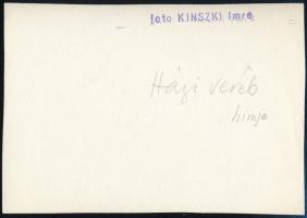 cca 1931 Kinszki Imre (1901-1945) budapesti fotóművész hagyatékából, a szerző által feliratozott, pe...