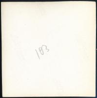 cca 1936 Kinszki Imre (1901-1945) budapesti fotóművész hagyatékából, jelzés nélküli vintage fotó (Ve...