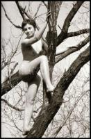 cca 1977 Fészekrakó, szolidan erotikus felvételek, 9 db vintage NEGATÍV, 24x36 mm