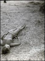 cca 1985 Több fotómodell közreműködésével, különféle időpontokban és eltérő helyszíneken készült AKT...