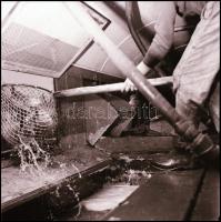 1969 Tiszai halászok, Kotnyek Antal (1921-1990) budapesti fotóriporter hagyatékából 18 db vintage NE...