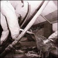 1969 Tiszai halászok, Kotnyek Antal (1921-1990) budapesti fotóriporter hagyatékából 18 db vintage NE...