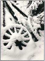 1986 Vincze János (1922-1998) kecskeméti fotóművész hagyatékából, feliratozott vintage fotóművészeti alkotás (Téli csendélet), 23,4x17,3 cm