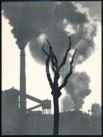 cca 1977 Gebhardt György (1910-1993) budapesti fotóművész hagyatékából, jelzés nélküli vintage fotóművészeti alkotás (Környezeti ártalom), 23,7x17,8 cm