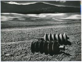 cca 1974 Gebhardt György (1910-1993) budapesti fotóművész hagyatékából, jelzés nélküli vintage fotóművészeti alkotás (Tárcsázás után), 17,8x23,8 cm