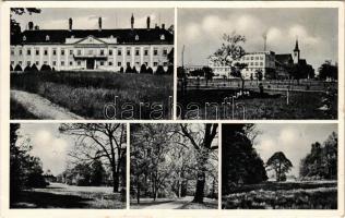 Malacka, Malatzka, Malacky; Pálffy Miklós kastélya, kert, templom. Fr. Miksík kiadása / castle, garden, park, church (EK)