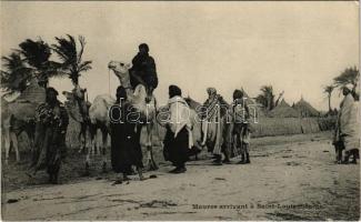 Saint Louis, Maures arrivant / camels, moors, African folklore