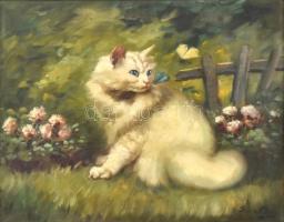 Sziklai Lajos (?-?): Cica. Olaj, vászon, jelzett. Díszes, kissé sérült fa keretben, 39×49,5 cm