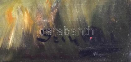 Sziklai Lajos (?-?): Cica. Olaj, vászon, jelzett. Díszes, kissé sérült fa keretben, 39×49,5 cm