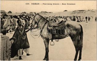 Dakar, Pur-sang maure, Aux Courses / Moorish thoroughbred