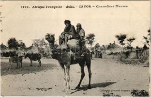 Cavor, Chameliers Maures / camel, donkeys