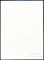 Németh József (1911-2006): Két kis veréb, feliratozott fotó, 23,5×17,5 cm