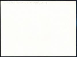 E. Szabó István (1946-): Anatómia 1., feliratozott fotóművészeti alkotás, 18×24 cm