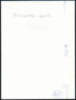 Berekméri Zoltán (1923-1988): Behavazott tábla, jelzetlen fotóművészeti alkotás, 22×16 cm