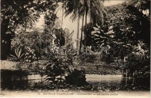 Conakry, Le Jardin public / public garden