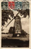 1936 Nykobing Falster, Nagelsti Molle / windmill. TCV card (EK)