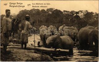 1924 Congo Belge. Les éléphants au bain / Belgisch-Congo. Badende olifanten / Belgian Congolese folklore, bathing elephants
