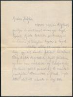 1916 június 4-5 I. Világháború, Déltirol K.u.k hegyi gyalogosok lőszerszállító egysége 2 db tábori p...